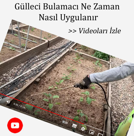 eryaman çiftliği